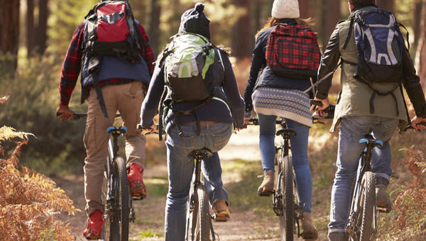 FRIENDS, BIKE, WOOD
