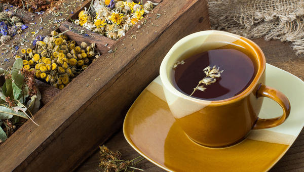 medicinal plants