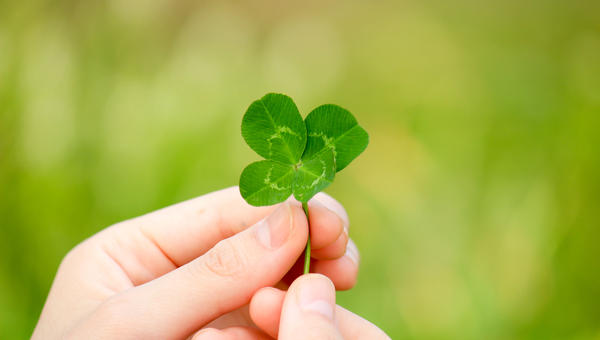 FOUR LEAF CLOVER