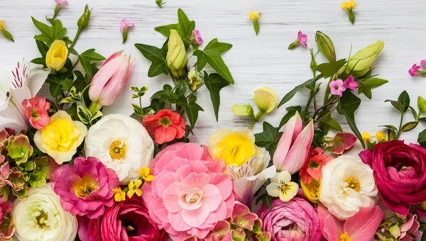 FLOWERS
