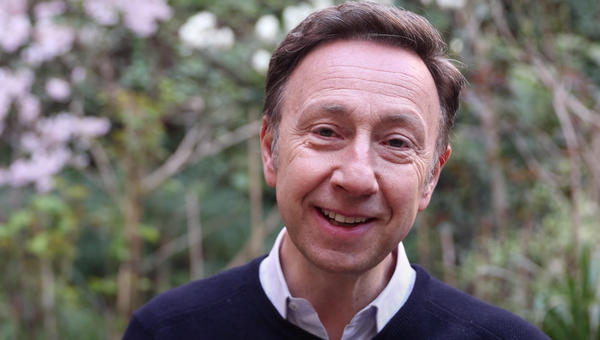 STEPHANE BERN