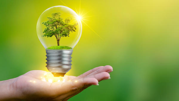 LIGHT BULB ECOLOGIC ENERGY GREEN