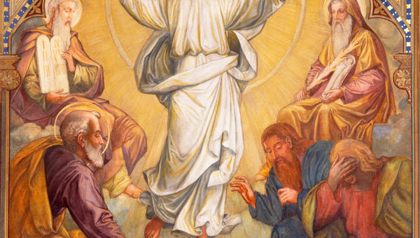 TRANSFIGURATION