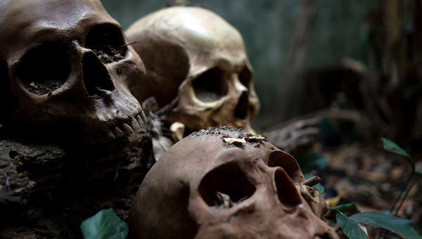 SKULLS