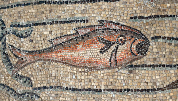 poisson