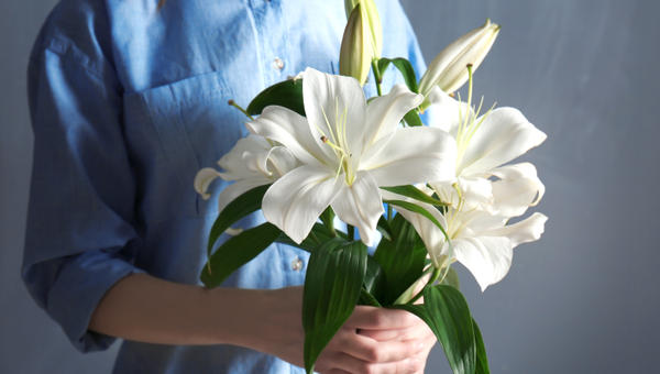 LILIES
