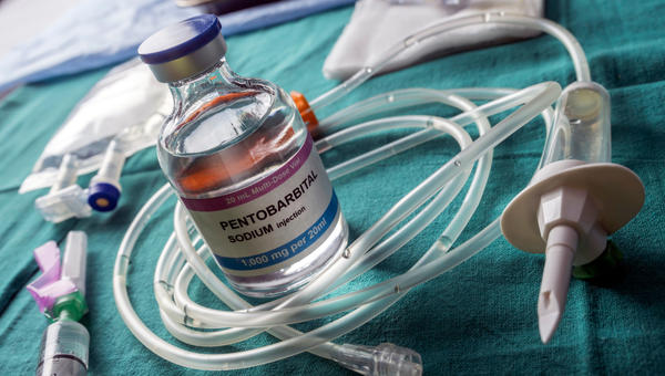 EUTANASIA, MEDICINE, PENTOBARBITAL