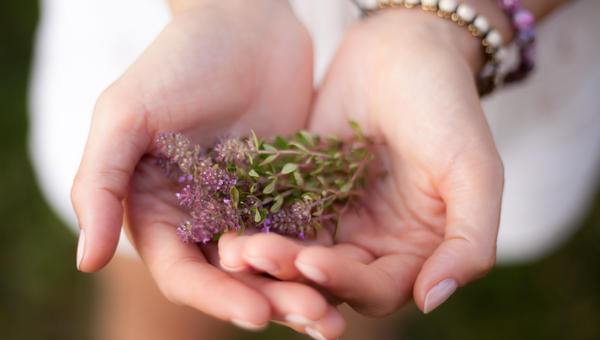 THYME