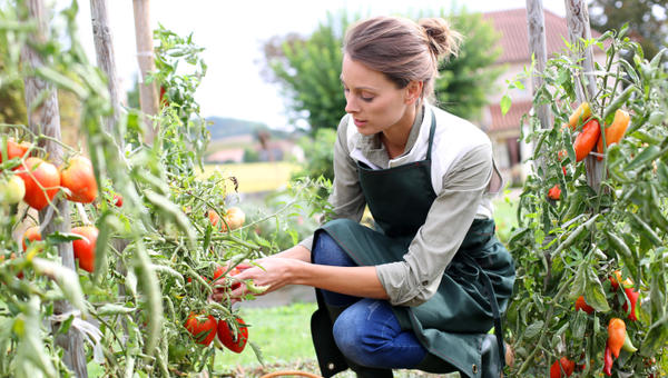 GARDEN
