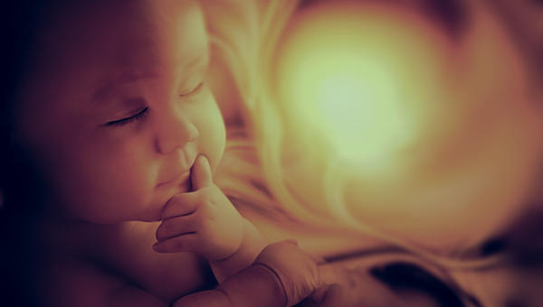 BAMBINO, UTERO, FETO