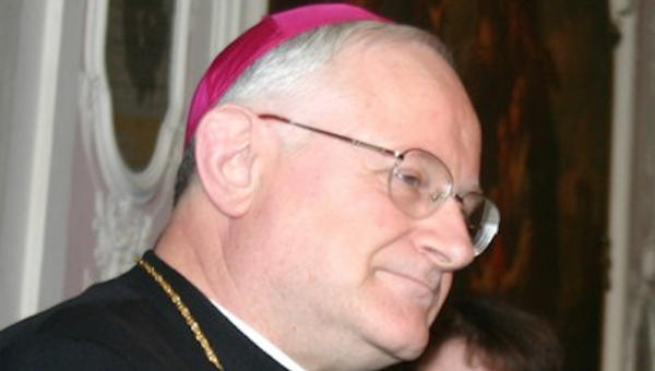 vescovo verona anti gender