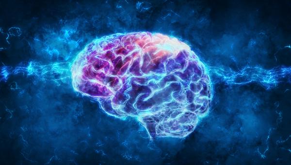 3d rendering of a brain
