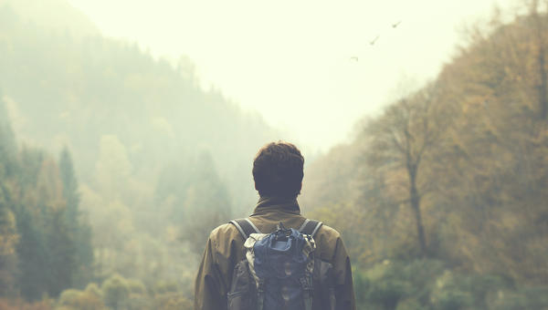 foret-shutterstock_522743866.