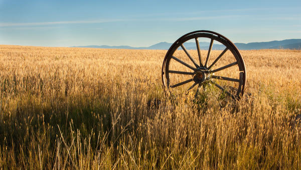 old cart wheel Shutterstock