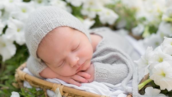 newborn baby in white flowers