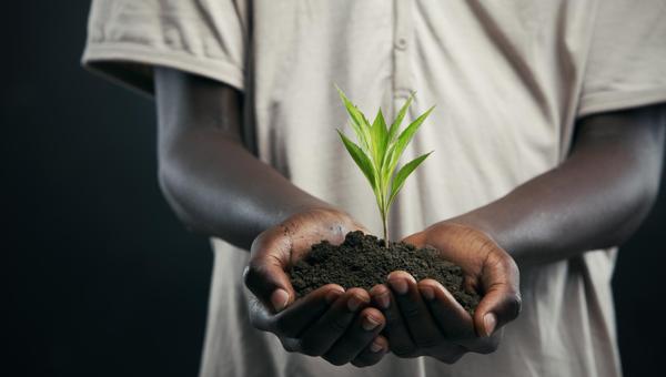 SEED