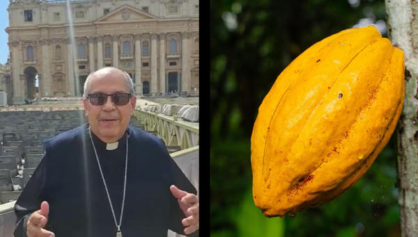 CACAO