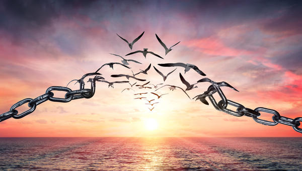 forgiveness freedom birds sunset chains broken