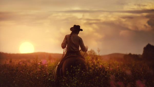 rancher man horseback sunset field