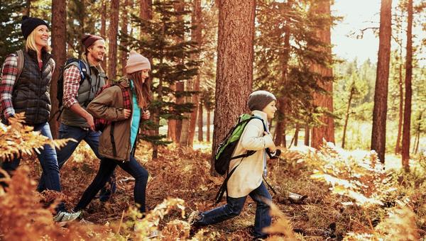 Family hiking in forest in autumn