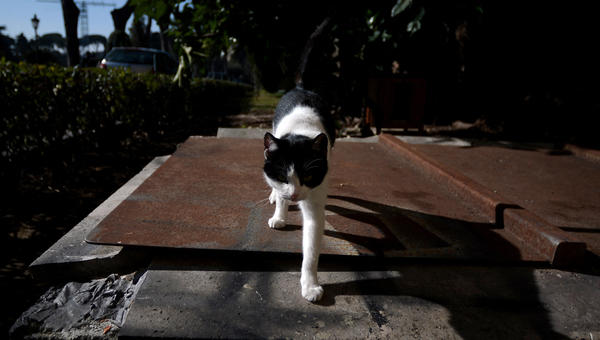 CHAT-BENOIT-XVI-AFP