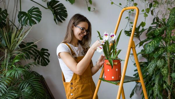 Jardinería - hobbie