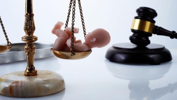 abortion law