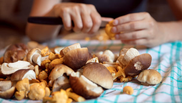 CUISINE-shutterstock