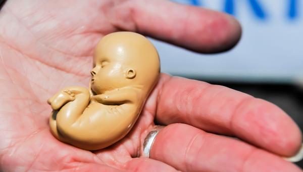 aborto provida