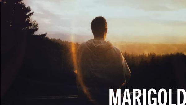 Marigold hillbilly thomists