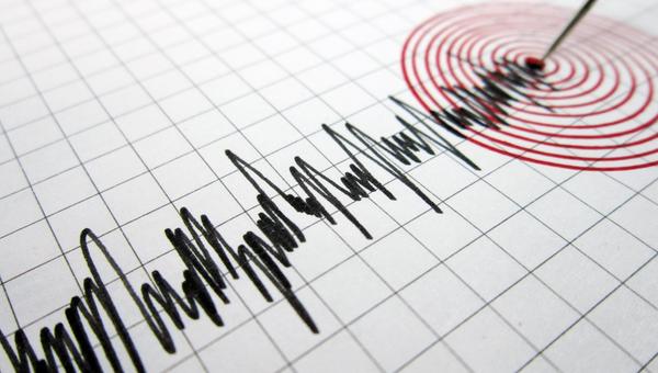 Seismograph
