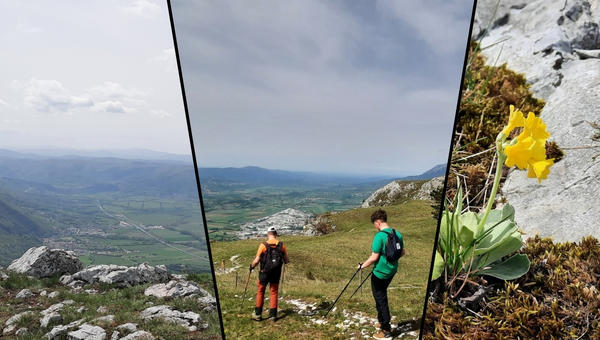Gora nad Ajdovscino
