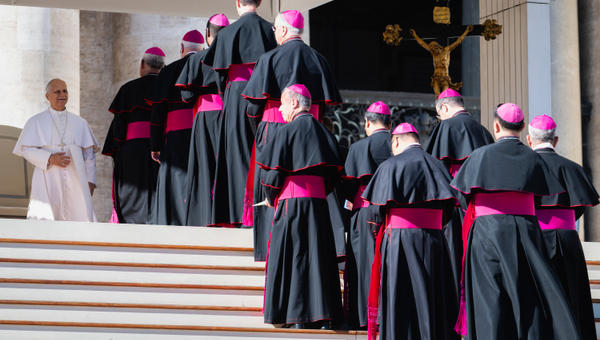 pope-leo-xiv-audience-bishops