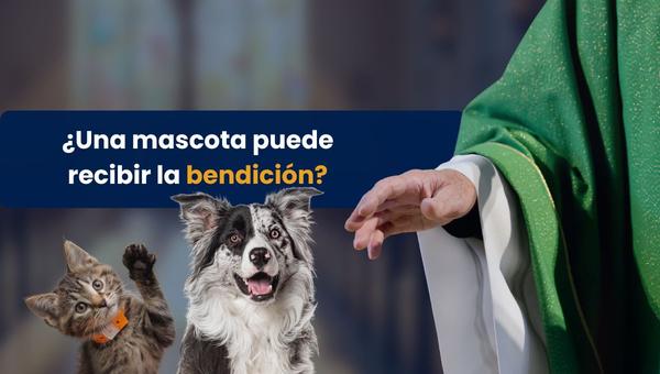 ¿Una mascota puede recibir la bendición?