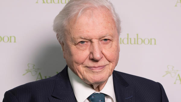 David Attenborough