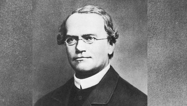 Gregor Mendel