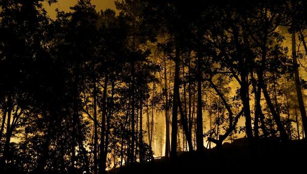 incendie Fontainebleau