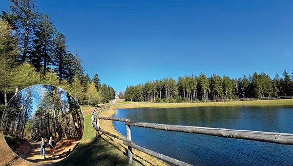 pohorje