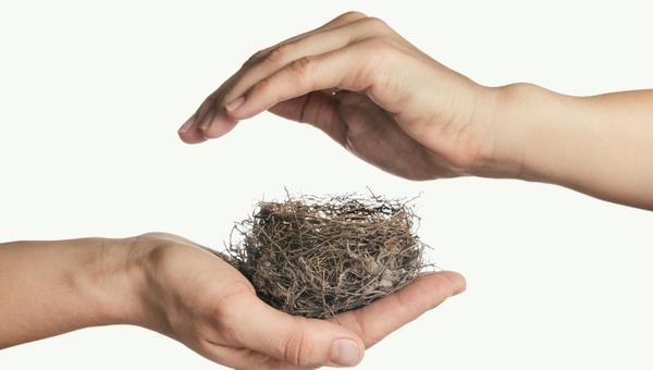 empty nest