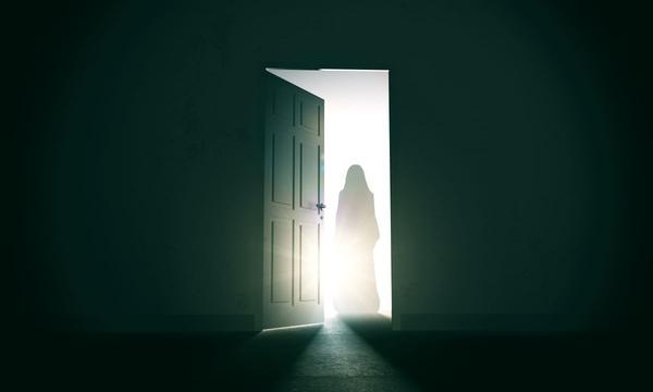 What the soul is, and what it is not