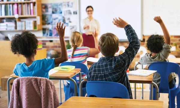 Educar: la responsabilidad moral detrás de los contenidos escolares