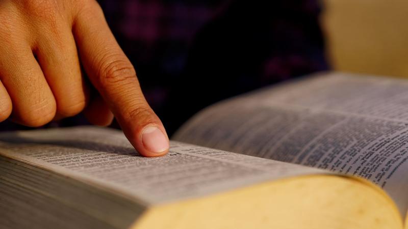 Capítulos y versículos de la biblia