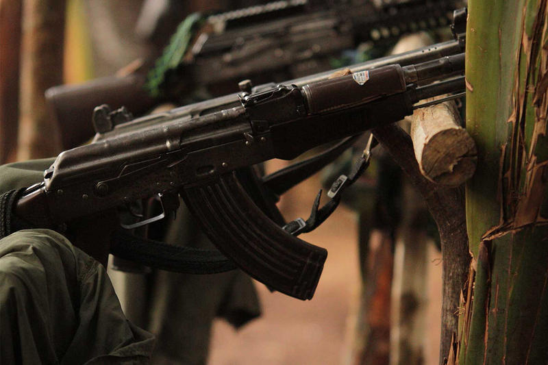 web-colombia-farc-guns-nelson-cardenas-sig