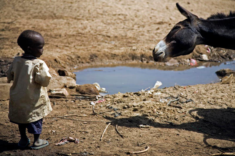Former Refugees Resume Village Life in Darfur