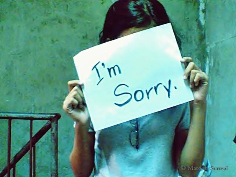 apology poll