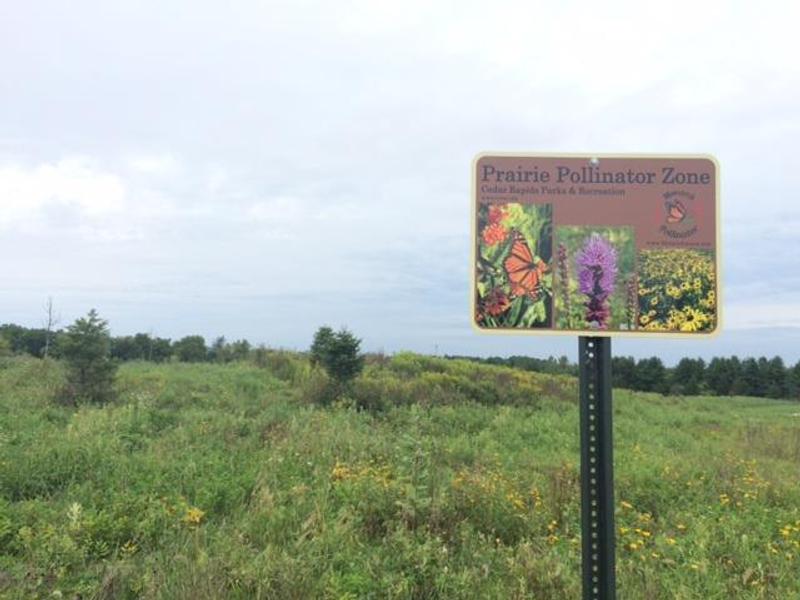 PRAIRIE POLLINATOR ZONE