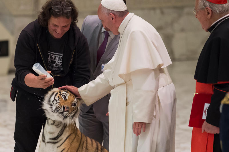 TOPSHOT – Paul VI Hall – Circus – Pope Francis June 16, 2016