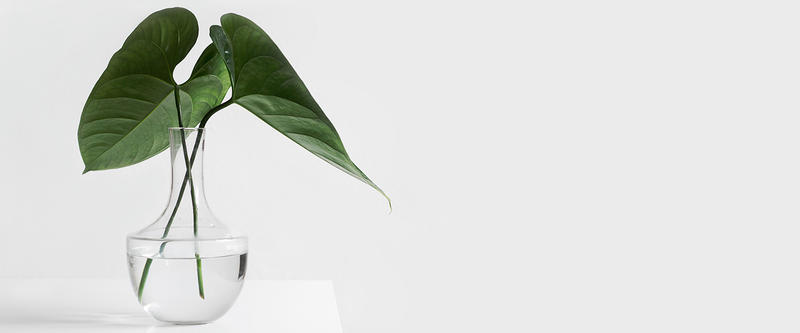 S'essayer au minimalisme