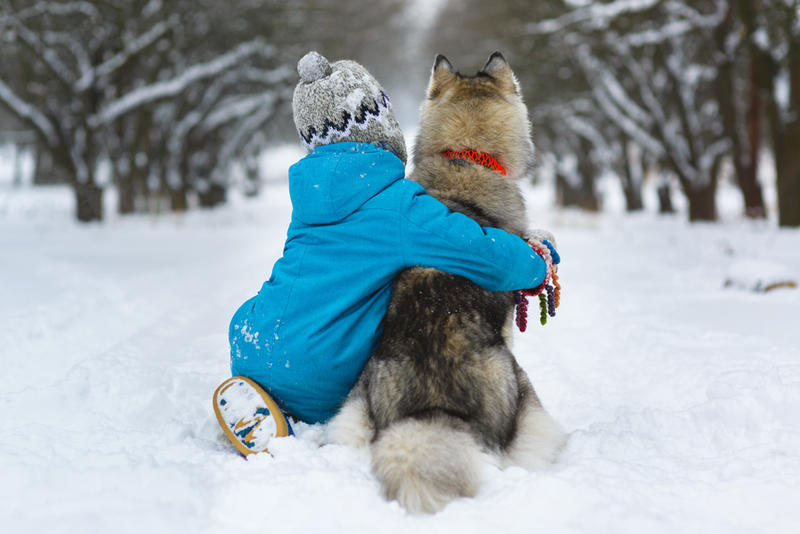 shutterstock_371034449