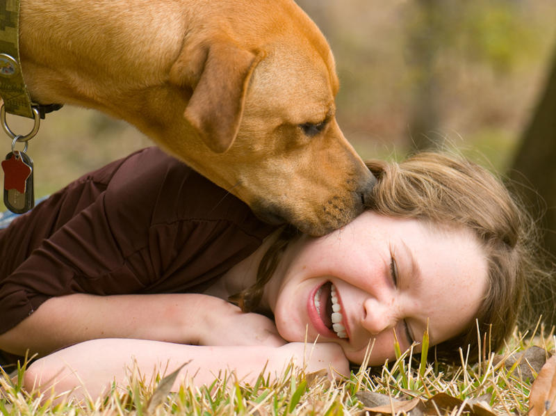 shutterstock_49686574